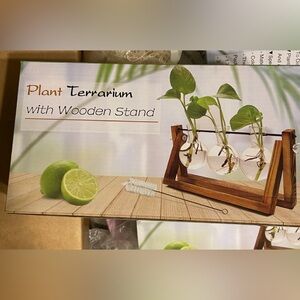 Terrarium with Wooden Stand